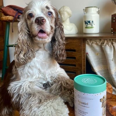 Pet Food Custom Cylinder Kraft Paper Tube With Metal Lids Vanishing Printing Handling Laundry Beads